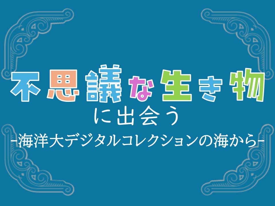 海洋大デジタル(不思議な生き物)