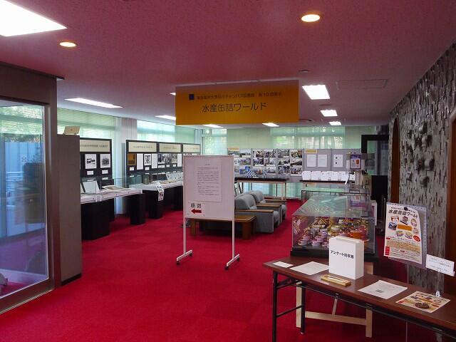 展示全景